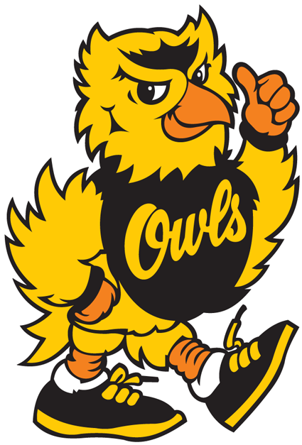Kennesaw State Owls 1992-2011 Mascot Logo diy fabric transfer